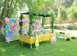 Kız Çocuk Doğum Günü Organizasyonu İzmir
