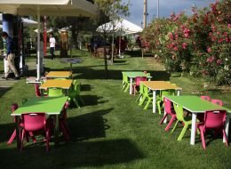Eğitim Kurumları Piknik Organizasyonu İzmir