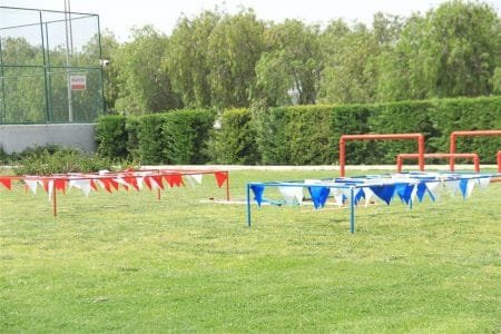 Doğum Günü Organizasyonu Survivor Parkurları